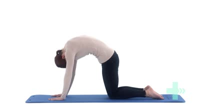 "Cat and camel" Trunk flexion...