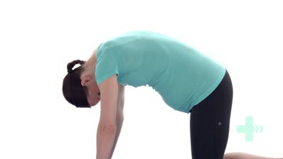 Pregnancy cat and camel stretch