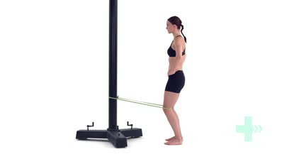 Resisted knee extension in stand