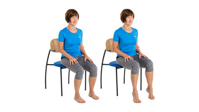 Seated Calf Raises