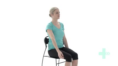 Shoulder flexion in sitting -...
