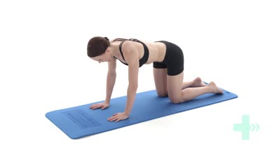Core/pelvic floor strengtheni...