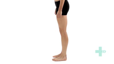 Standing bilateral toe raise